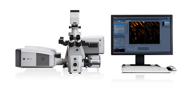 Confocal Options 3